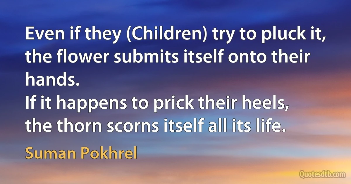 Even if they (Children) try to pluck it,
the flower submits itself onto their hands.
If it happens to prick their heels,
the thorn scorns itself all its life. (Suman Pokhrel)