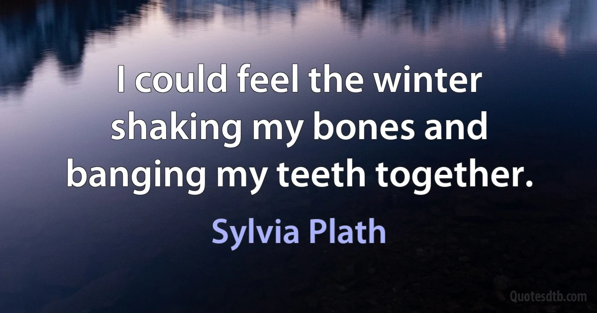 I could feel the winter shaking my bones and banging my teeth together. (Sylvia Plath)