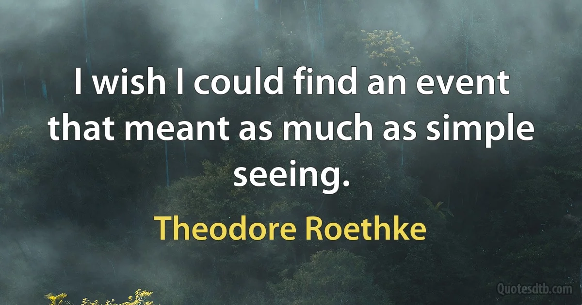 I wish I could find an event that meant as much as simple seeing. (Theodore Roethke)