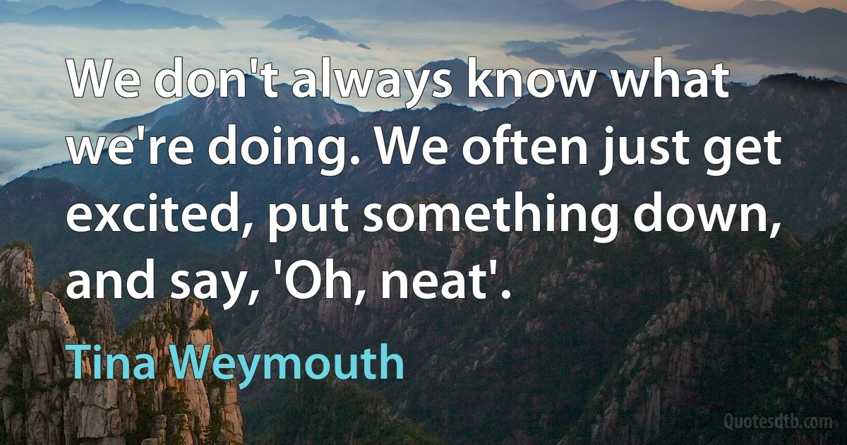 We don't always know what we're doing. We often just get excited, put something down, and say, 'Oh, neat'. (Tina Weymouth)