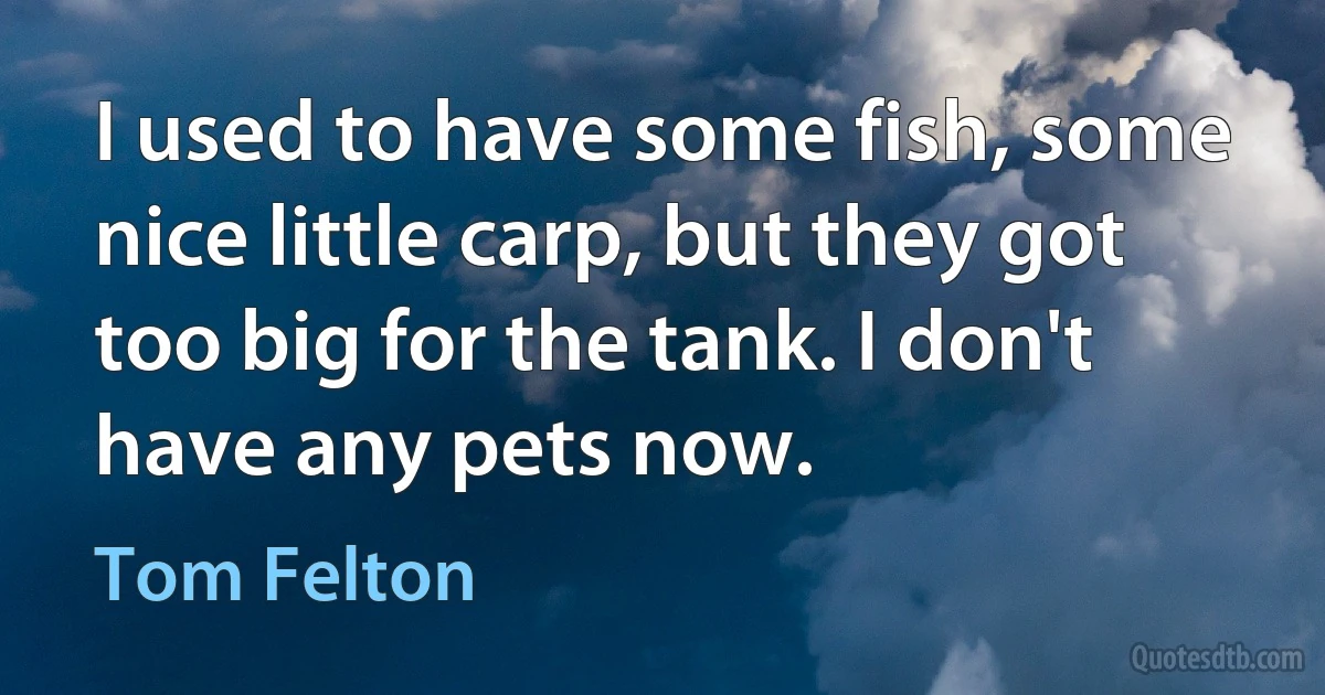 I used to have some fish, some nice little carp, but they got too big for the tank. I don't have any pets now. (Tom Felton)