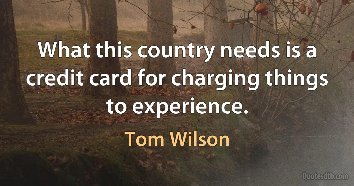 What this country needs is a credit card for charging things to experience. (Tom Wilson)