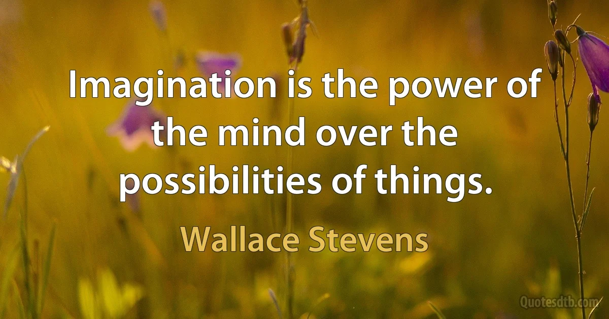 Imagination is the power of the mind over the possibilities of things. (Wallace Stevens)