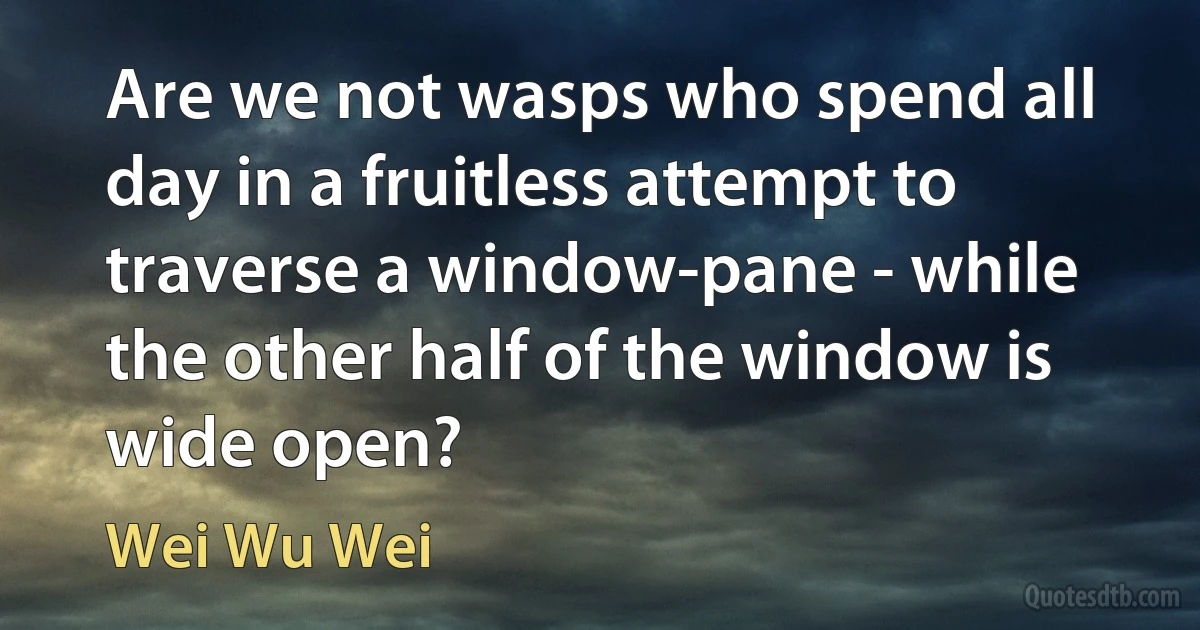 Are we not wasps who spend all day in a fruitless attempt to traverse a window-pane - while the other half of the window is wide open? (Wei Wu Wei)