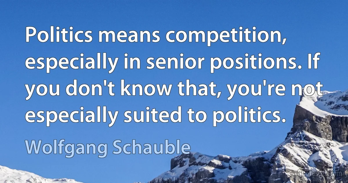 Politics means competition, especially in senior positions. If you don't know that, you're not especially suited to politics. (Wolfgang Schauble)