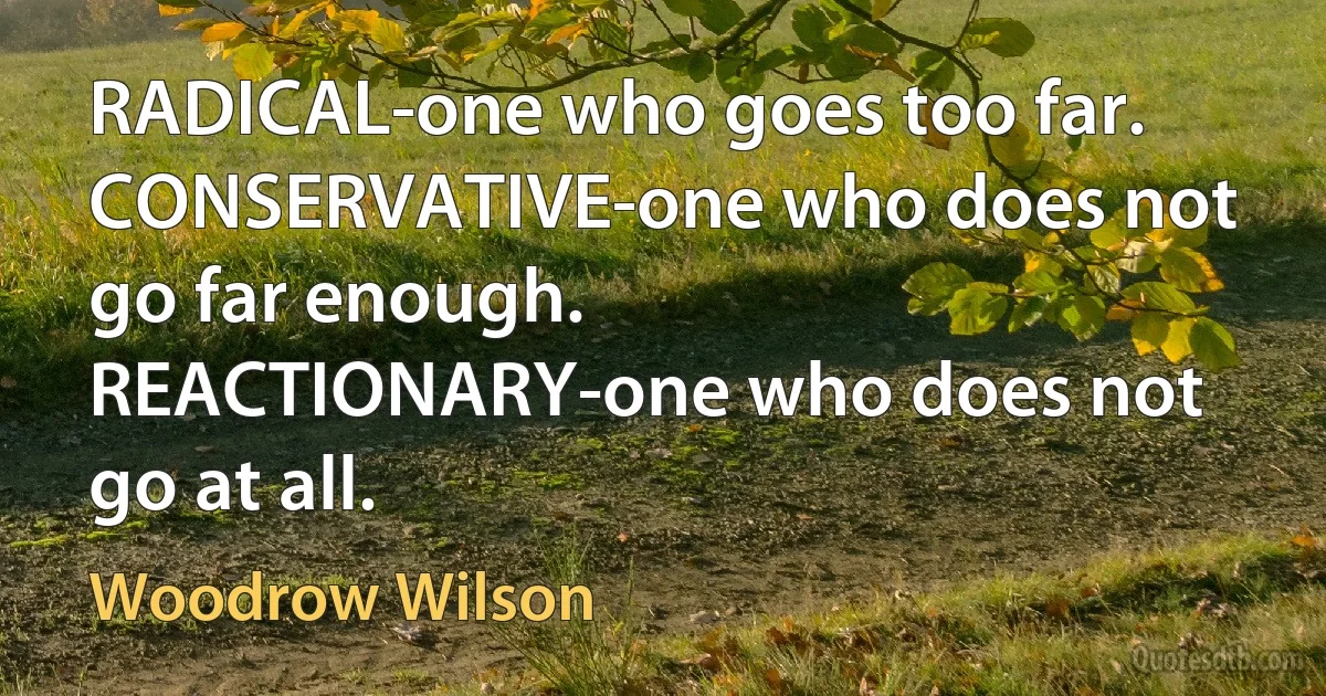 RADICAL-one who goes too far.
CONSERVATIVE-one who does not go far enough.
REACTIONARY-one who does not go at all. (Woodrow Wilson)