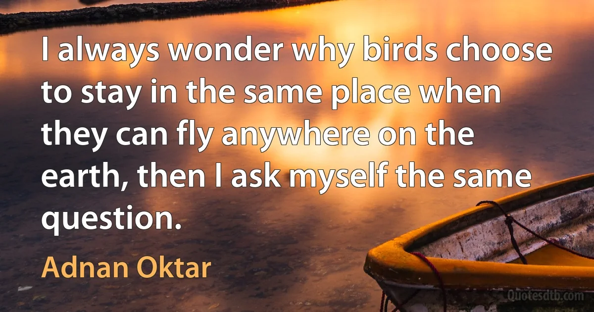 I always wonder why birds choose to stay in the same place when they can fly anywhere on the earth, then I ask myself the same question. (Adnan Oktar)