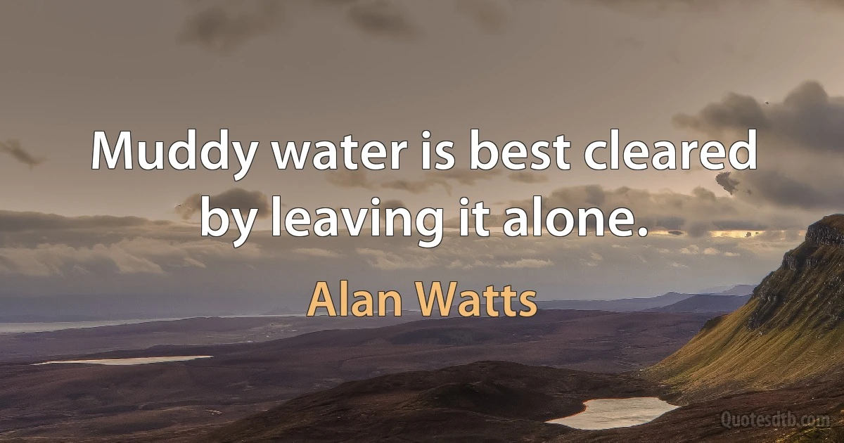 Muddy water is best cleared by leaving it alone. (Alan Watts)