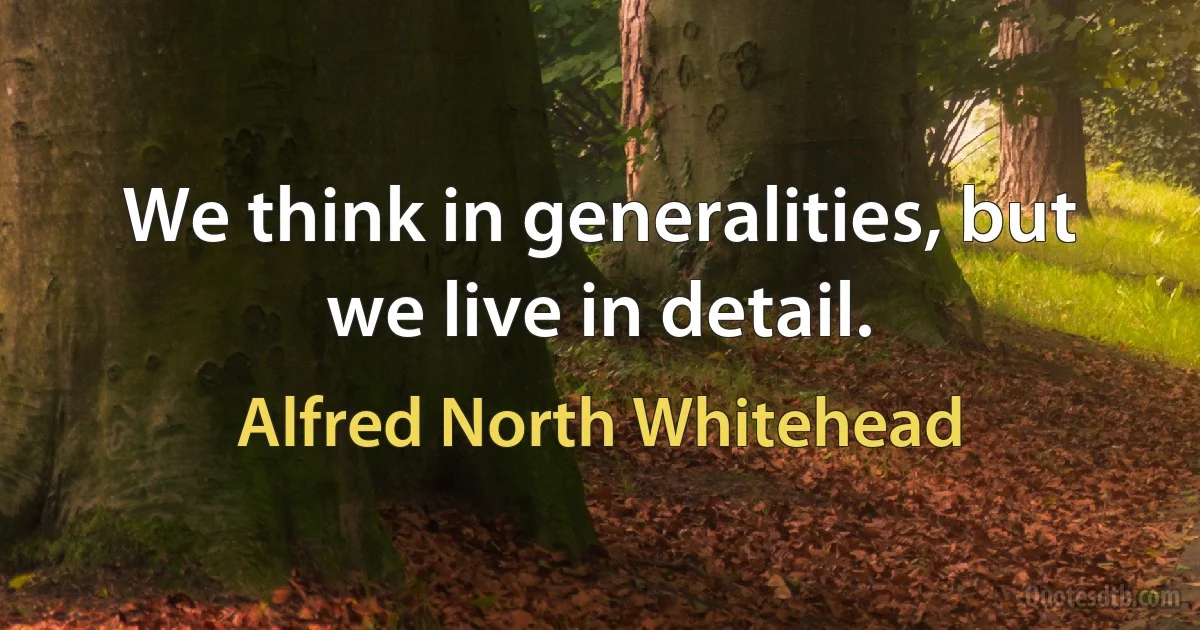 We think in generalities, but we live in detail. (Alfred North Whitehead)