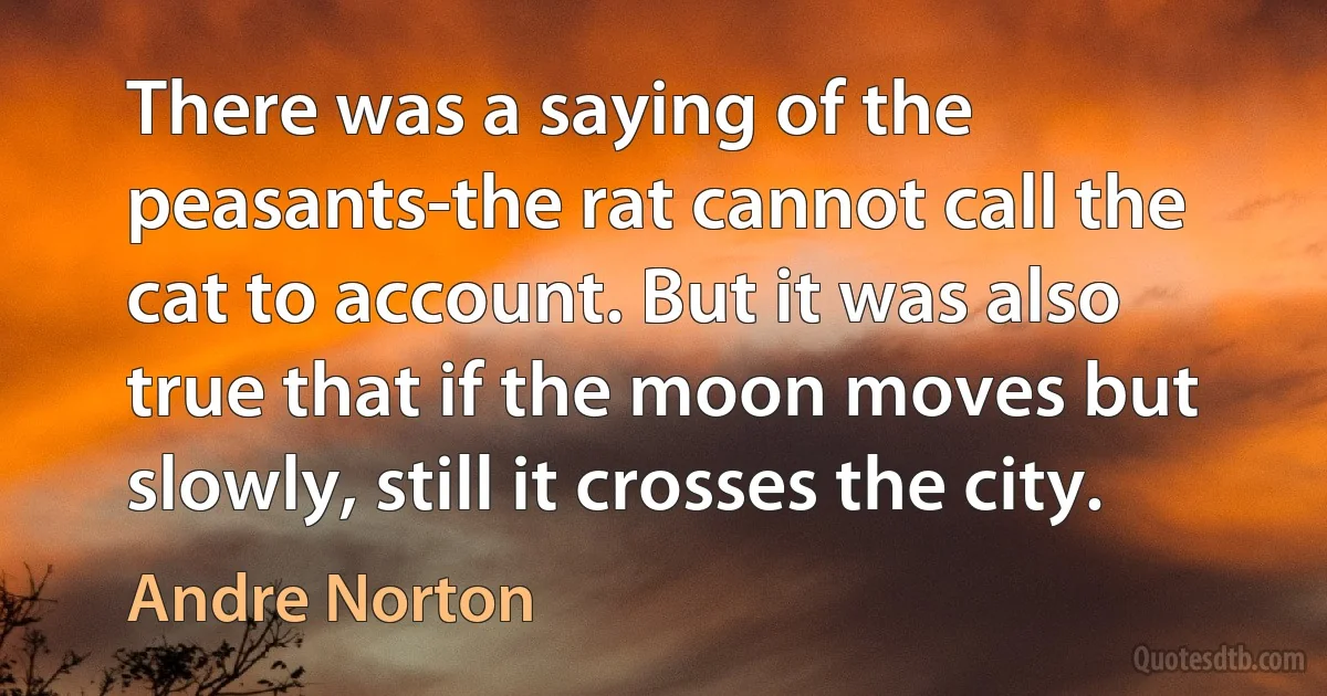 There was a saying of the peasants-the rat cannot call the cat to account. But it was also true that if the moon moves but slowly, still it crosses the city. (Andre Norton)