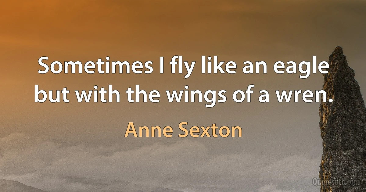 Sometimes I fly like an eagle but with the wings of a wren. (Anne Sexton)