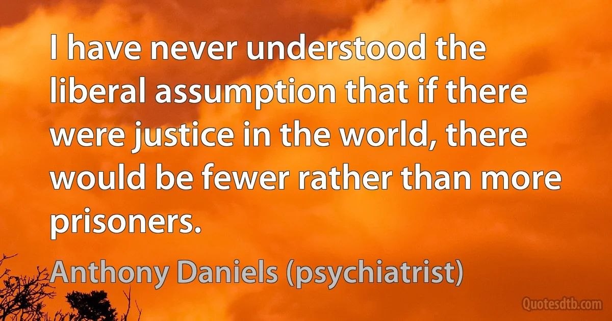 I have never understood the liberal assumption that if there were justice in the world, there would be fewer rather than more prisoners. (Anthony Daniels (psychiatrist))