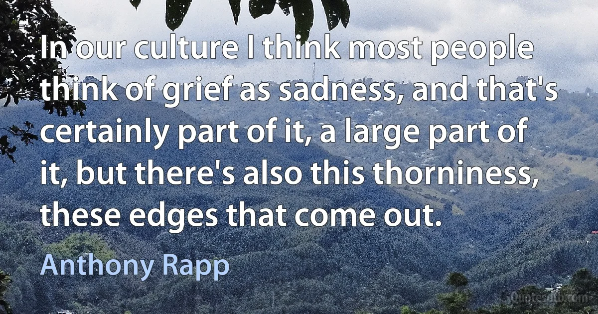 In our culture I think most people think of grief as sadness, and that's certainly part of it, a large part of it, but there's also this thorniness, these edges that come out. (Anthony Rapp)