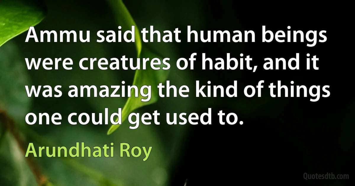 Ammu said that human beings were creatures of habit, and it was amazing the kind of things one could get used to. (Arundhati Roy)