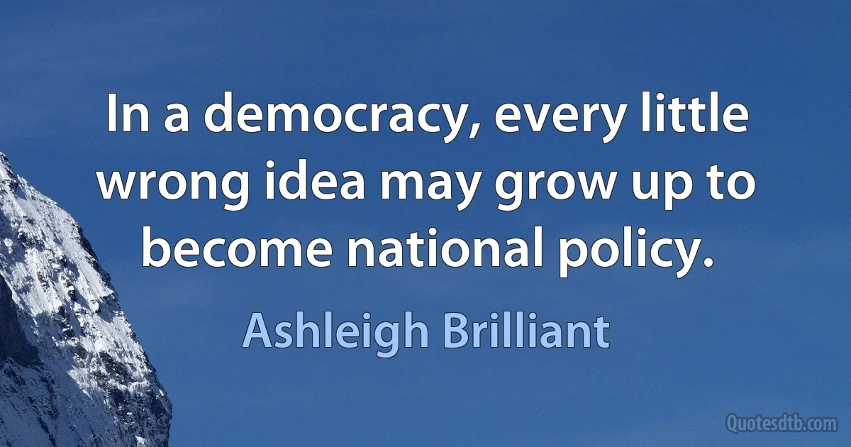 In a democracy, every little wrong idea may grow up to become national policy. (Ashleigh Brilliant)