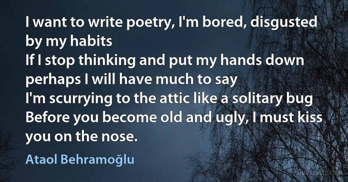 I want to write poetry, I'm bored, disgusted by my habits
If I stop thinking and put my hands down perhaps I will have much to say
I'm scurrying to the attic like a solitary bug
Before you become old and ugly, I must kiss you on the nose. (Ataol Behramoğlu)