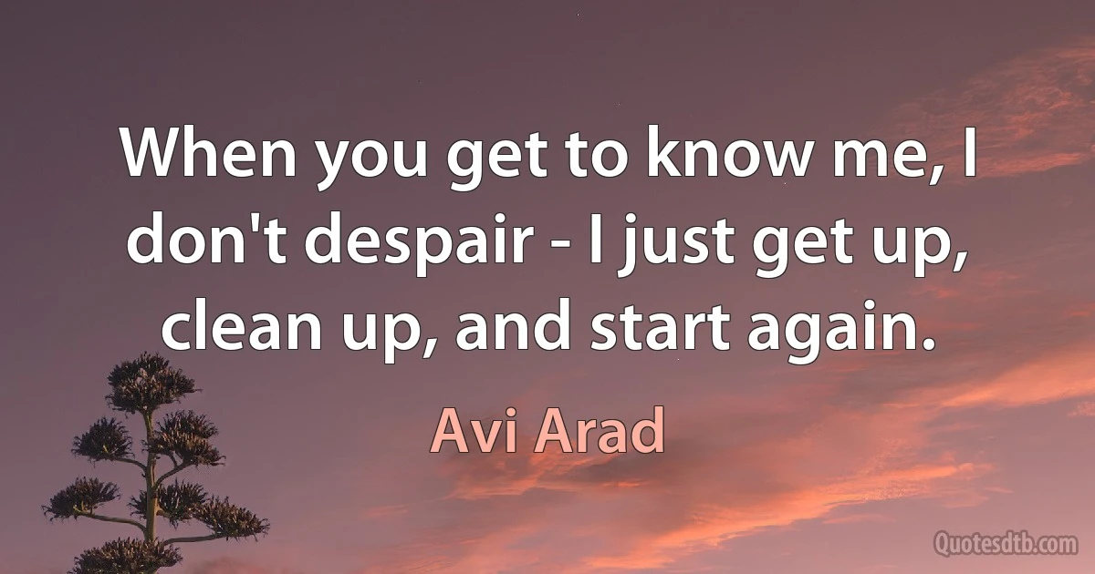 When you get to know me, I don't despair - I just get up, clean up, and start again. (Avi Arad)