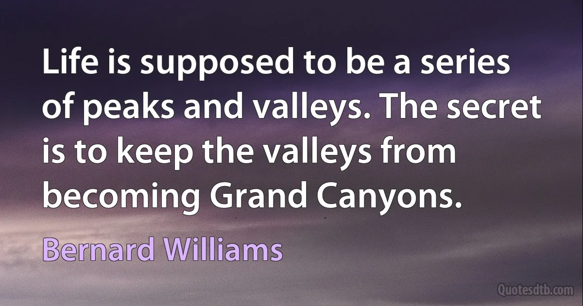 Life is supposed to be a series of peaks and valleys. The secret is to keep the valleys from becoming Grand Canyons. (Bernard Williams)