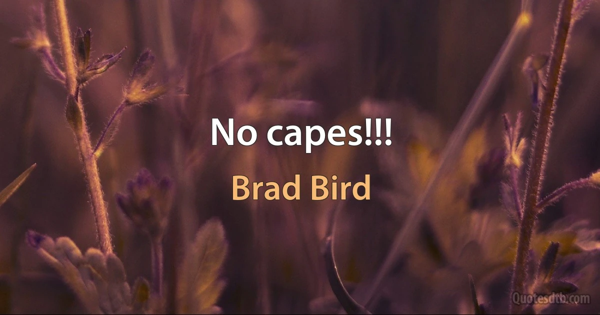 No capes!!! (Brad Bird)