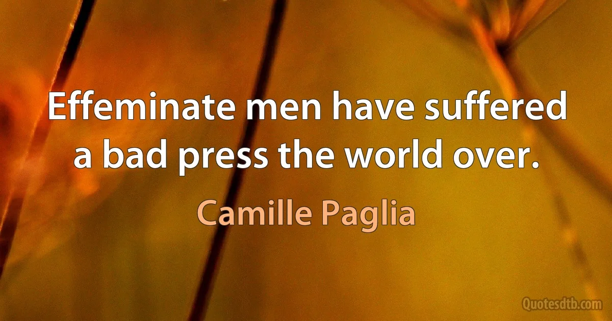 Effeminate men have suffered a bad press the world over. (Camille Paglia)