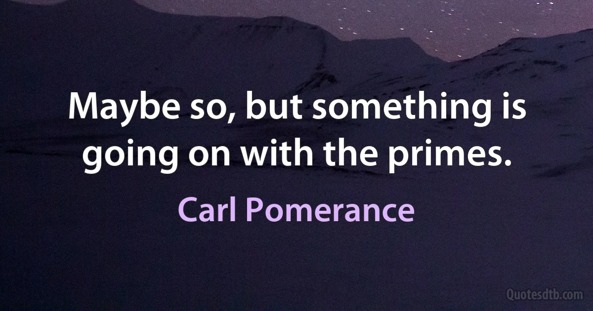 Maybe so, but something is going on with the primes. (Carl Pomerance)