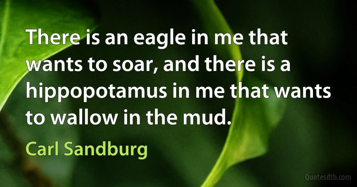 There is an eagle in me that wants to soar, and there is a hippopotamus in me that wants to wallow in the mud. (Carl Sandburg)