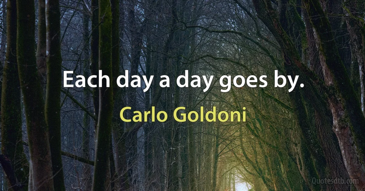 Each day a day goes by. (Carlo Goldoni)