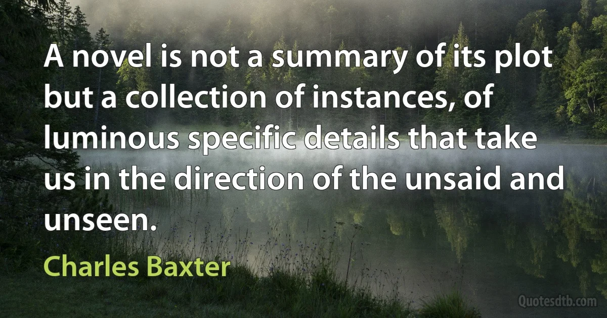 A novel is not a summary of its plot but a collection of instances, of luminous specific details that take us in the direction of the unsaid and unseen. (Charles Baxter)