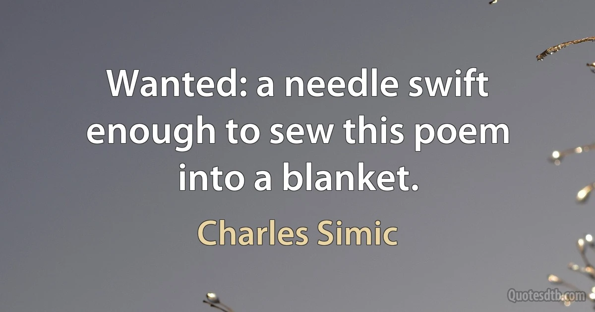 Wanted: a needle swift enough to sew this poem into a blanket. (Charles Simic)