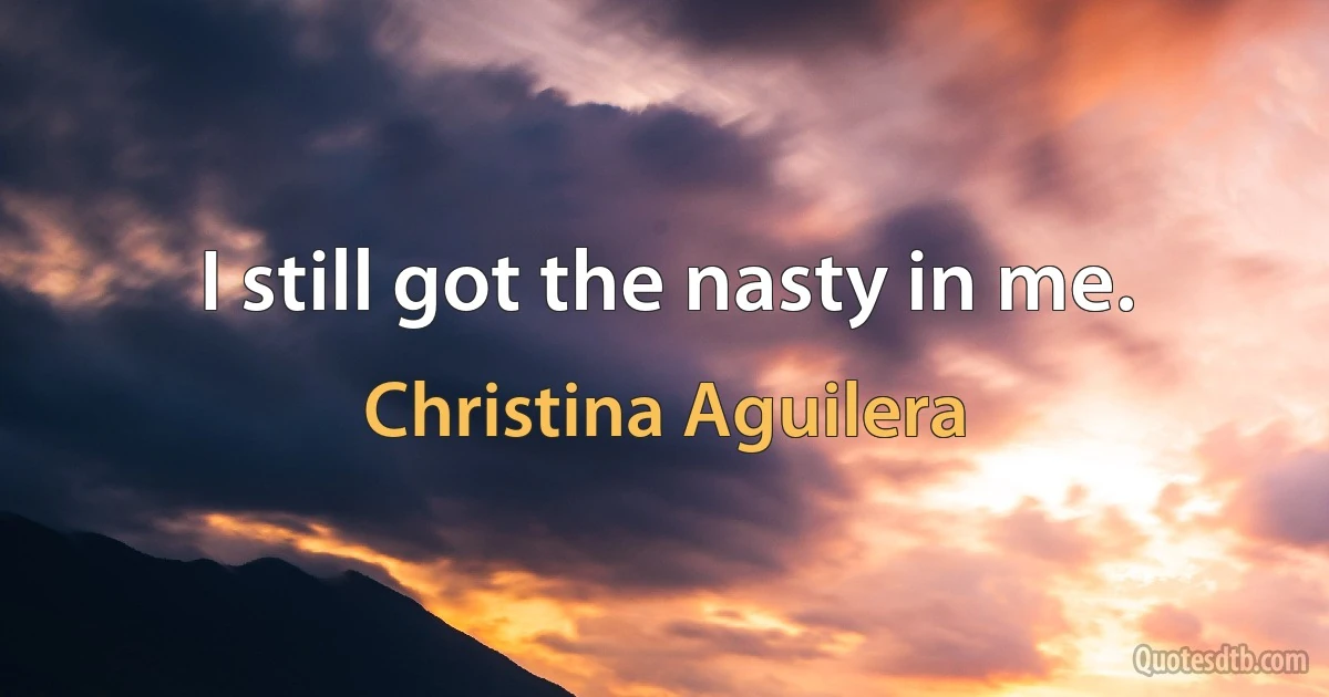 I still got the nasty in me. (Christina Aguilera)