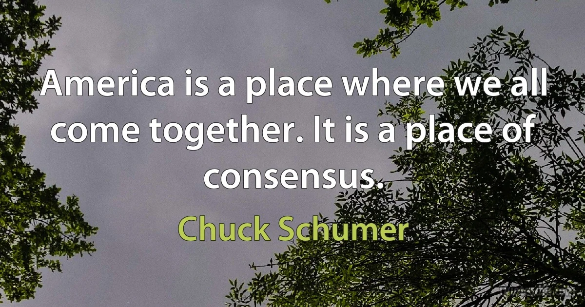 America is a place where we all come together. It is a place of consensus. (Chuck Schumer)