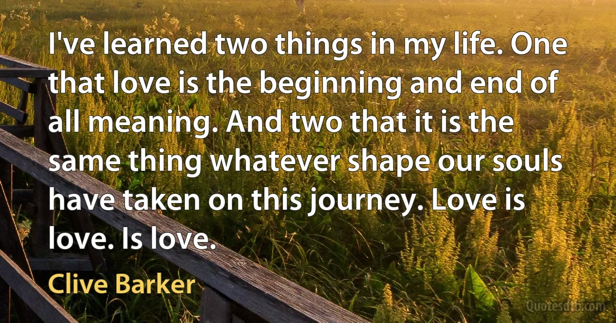 I've learned two things in my life. One that love is the beginning and end of all meaning. And two that it is the same thing whatever shape our souls have taken on this journey. Love is love. Is love. (Clive Barker)