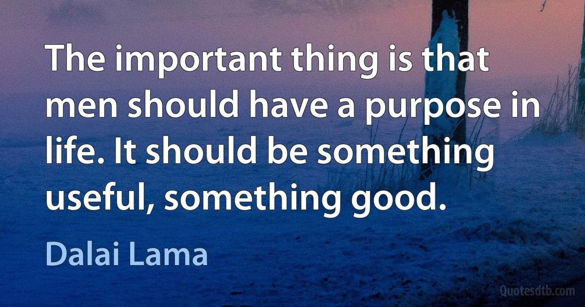 The important thing is that men should have a purpose in life. It should be something useful, something good. (Dalai Lama)