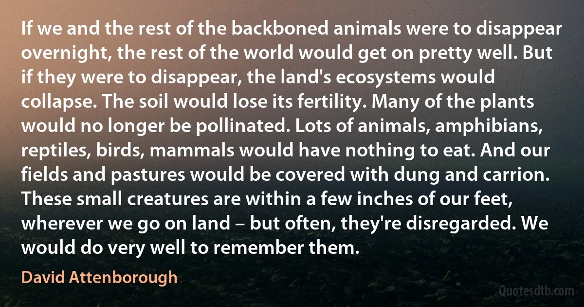 If we and the rest of the backboned animals were to disappear overnight, the rest of the world would get on pretty well. But if they were to disappear, the land's ecosystems would collapse. The soil would lose its fertility. Many of the plants would no longer be pollinated. Lots of animals, amphibians, reptiles, birds, mammals would have nothing to eat. And our fields and pastures would be covered with dung and carrion. These small creatures are within a few inches of our feet, wherever we go on land – but often, they're disregarded. We would do very well to remember them. (David Attenborough)