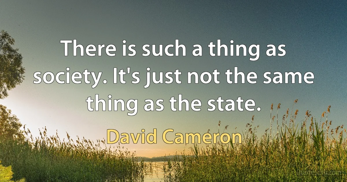 There is such a thing as society. It's just not the same thing as the state. (David Cameron)