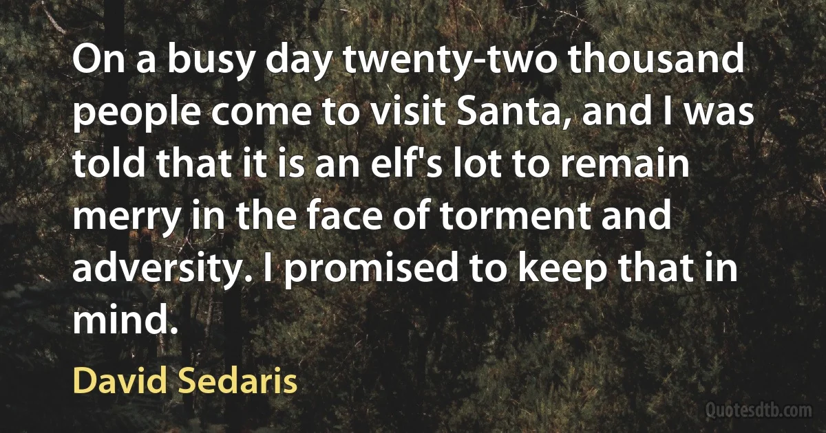 On a busy day twenty-two thousand people come to visit Santa, and I was told that it is an elf's lot to remain merry in the face of torment and adversity. I promised to keep that in mind. (David Sedaris)