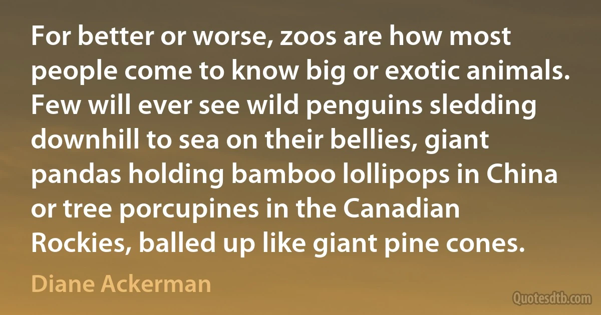 For better or worse, zoos are how most people come to know big or exotic animals. Few will ever see wild penguins sledding downhill to sea on their bellies, giant pandas holding bamboo lollipops in China or tree porcupines in the Canadian Rockies, balled up like giant pine cones. (Diane Ackerman)