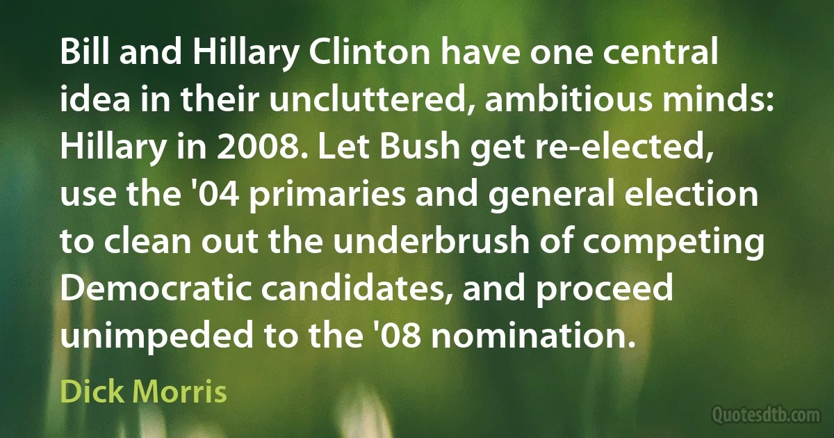 Bill and Hillary Clinton have one central idea in their uncluttered, ambitious minds: Hillary in 2008. Let Bush get re-elected, use the '04 primaries and general election to clean out the underbrush of competing Democratic candidates, and proceed unimpeded to the '08 nomination. (Dick Morris)