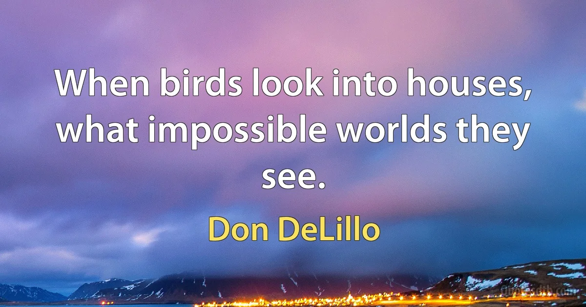 When birds look into houses, what impossible worlds they see. (Don DeLillo)