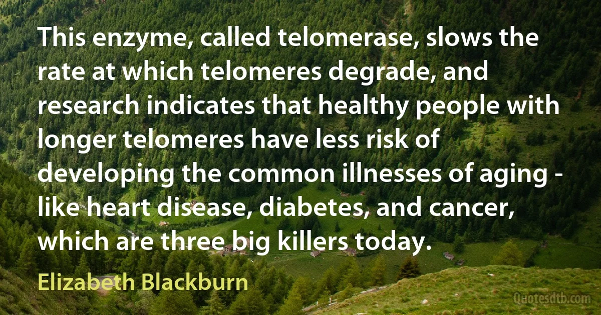 This enzyme, called telomerase, slows the rate at which telomeres degrade, and research indicates that healthy people with longer telomeres have less risk of developing the common illnesses of aging - like heart disease, diabetes, and cancer, which are three big killers today. (Elizabeth Blackburn)