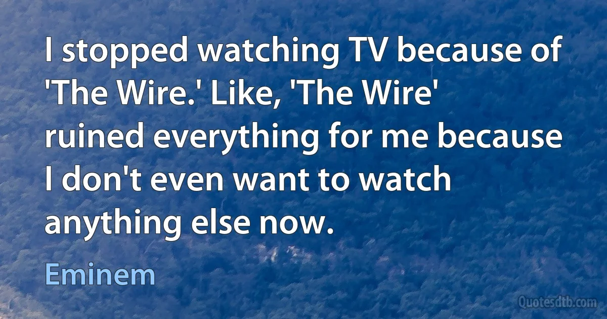 I stopped watching TV because of 'The Wire.' Like, 'The Wire' ruined everything for me because I don't even want to watch anything else now. (Eminem)