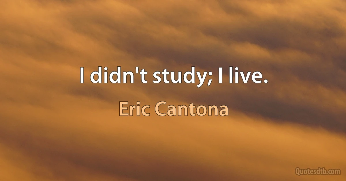 I didn't study; I live. (Eric Cantona)