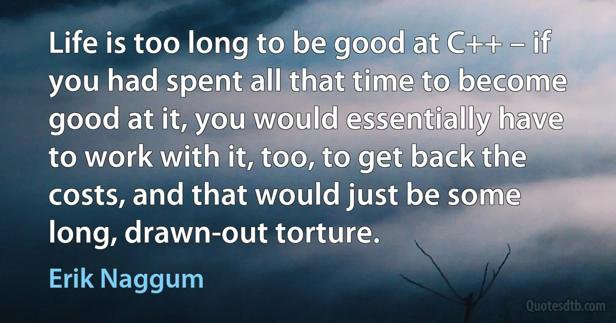 Life is too long to be good at C++ – if you had spent all that time to become good at it, you would essentially have to work with it, too, to get back the costs, and that would just be some long, drawn-out torture. (Erik Naggum)