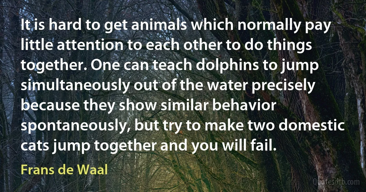 It is hard to get animals which normally pay little attention to each other to do things together. One can teach dolphins to jump simultaneously out of the water precisely because they show similar behavior spontaneously, but try to make two domestic cats jump together and you will fail. (Frans de Waal)