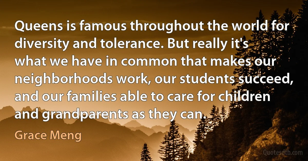 Queens is famous throughout the world for diversity and tolerance. But really it's what we have in common that makes our neighborhoods work, our students succeed, and our families able to care for children and grandparents as they can. (Grace Meng)