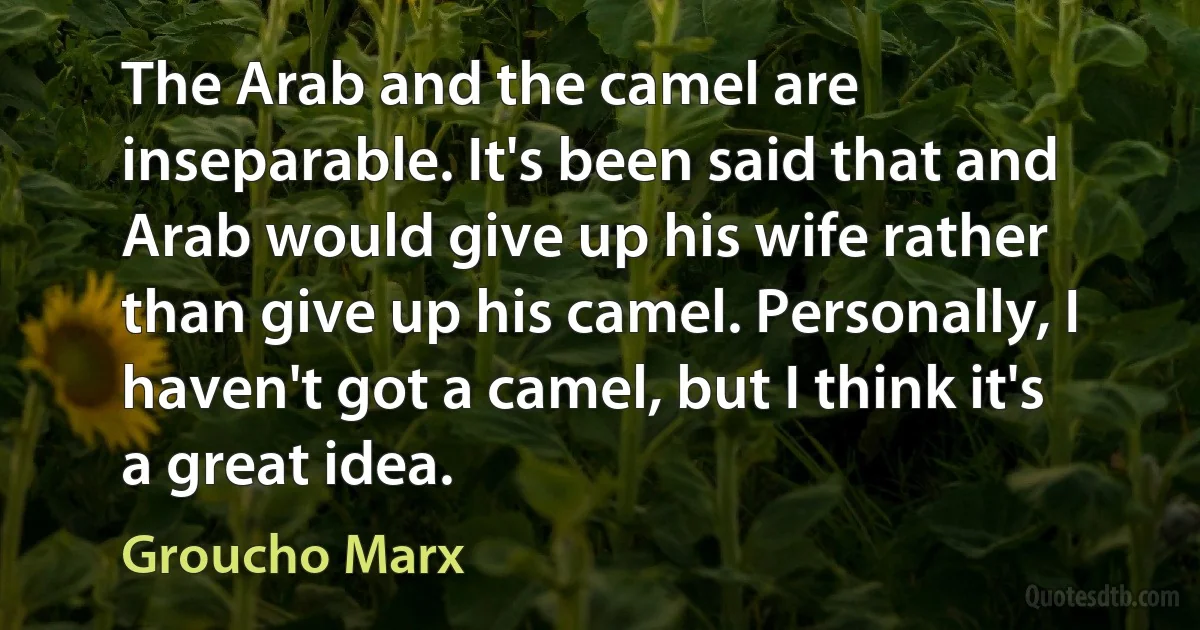 The Arab and the camel are inseparable. It's been said that and Arab would give up his wife rather than give up his camel. Personally, I haven't got a camel, but I think it's a great idea. (Groucho Marx)