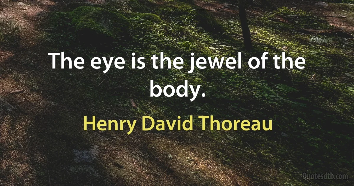 The eye is the jewel of the body. (Henry David Thoreau)