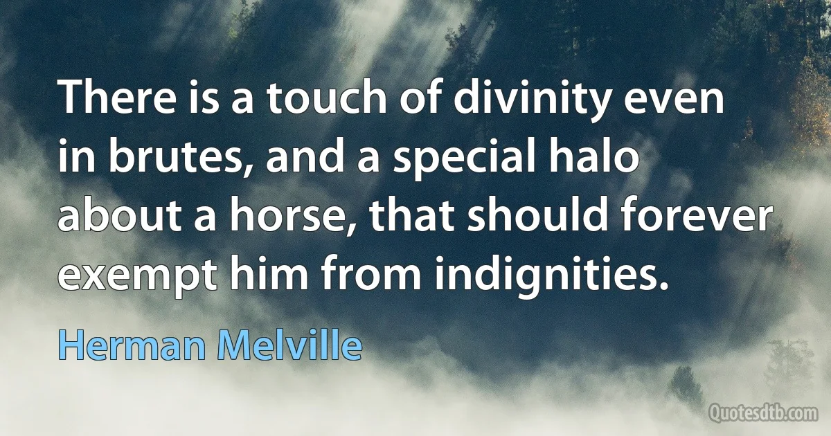 There is a touch of divinity even in brutes, and a special halo about a horse, that should forever exempt him from indignities. (Herman Melville)