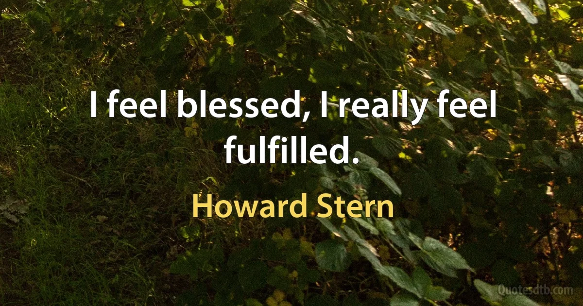 I feel blessed, I really feel fulfilled. (Howard Stern)