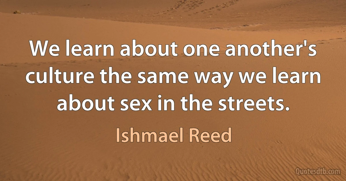 We learn about one another's culture the same way we learn about sex in the streets. (Ishmael Reed)